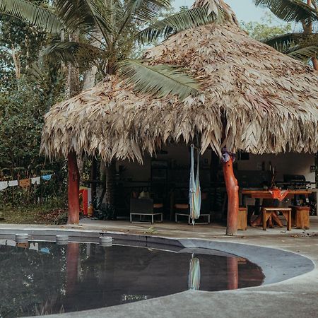 Casa De Los Amigos Caribena Cahuita Luaran gambar
