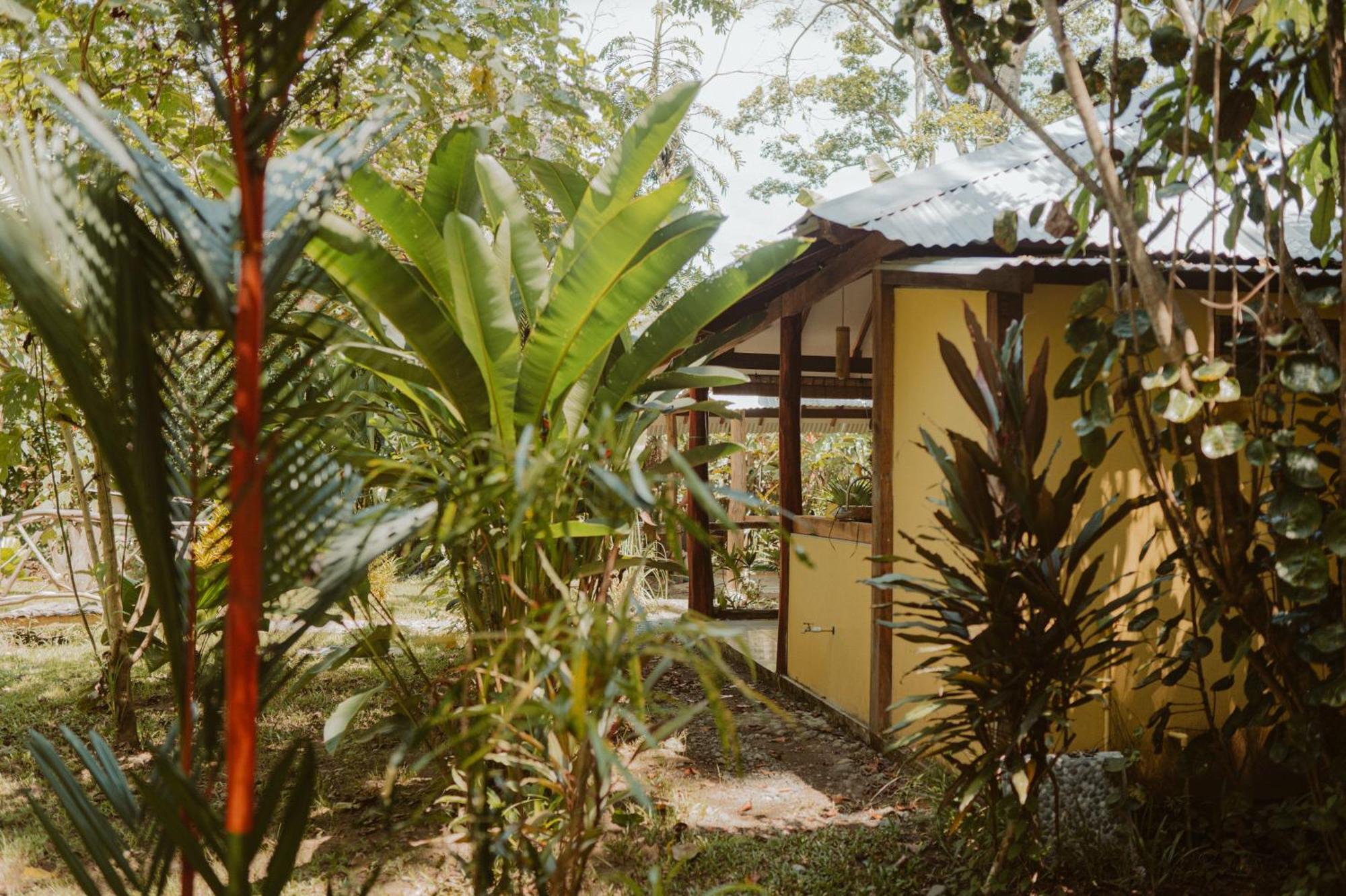 Casa De Los Amigos Caribena Cahuita Luaran gambar