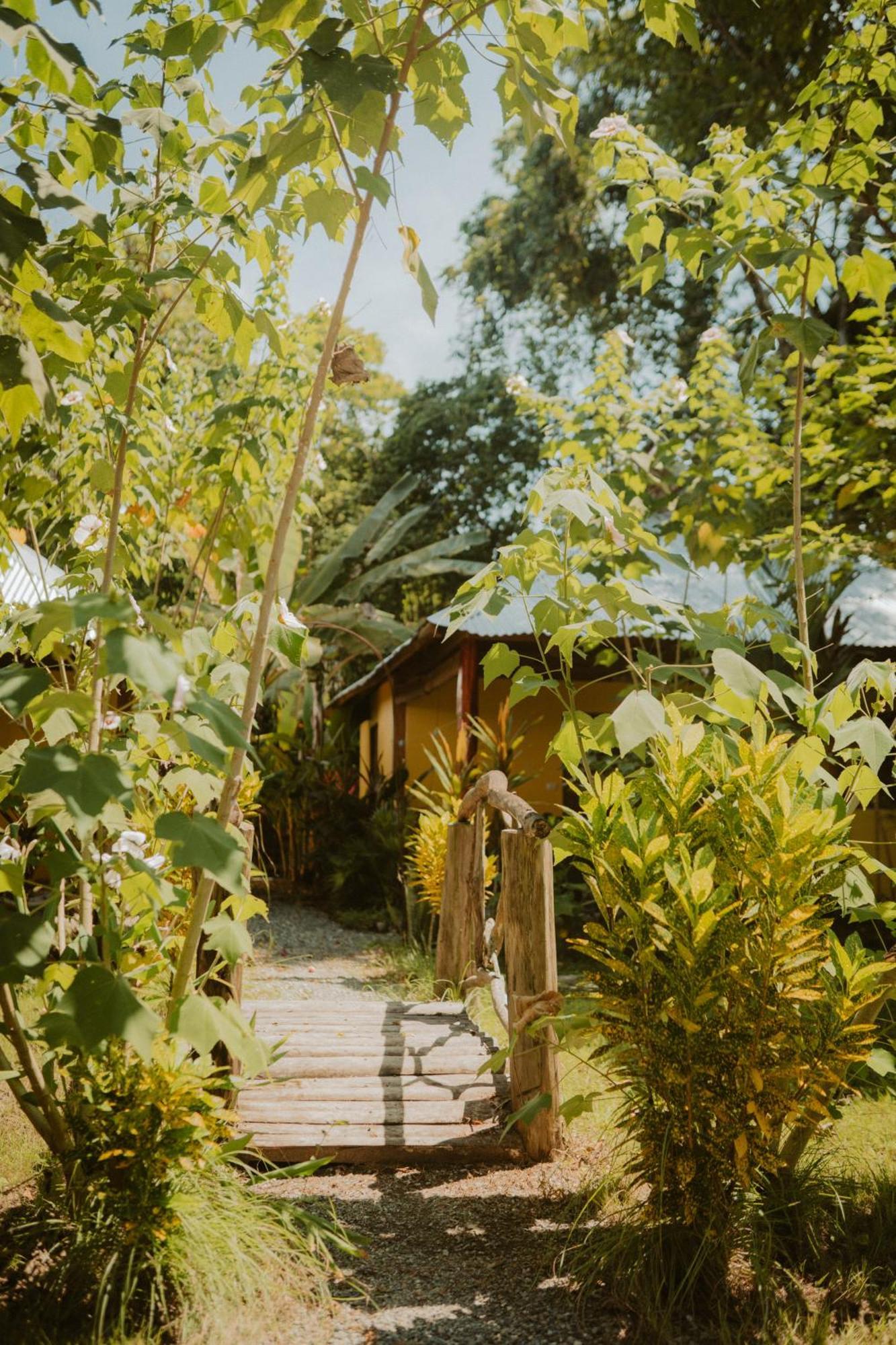 Casa De Los Amigos Caribena Cahuita Luaran gambar
